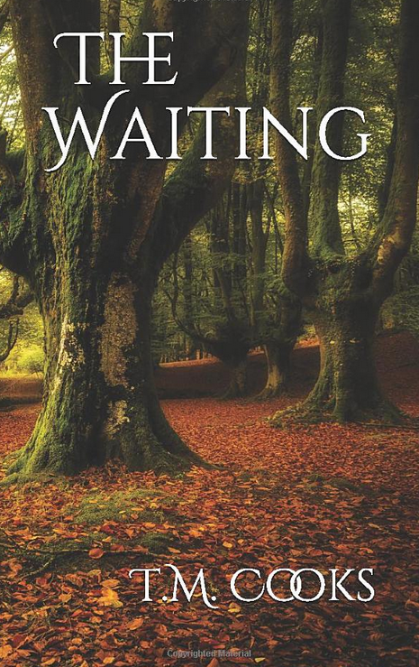 Cover of CardinalNewman The Waiting 